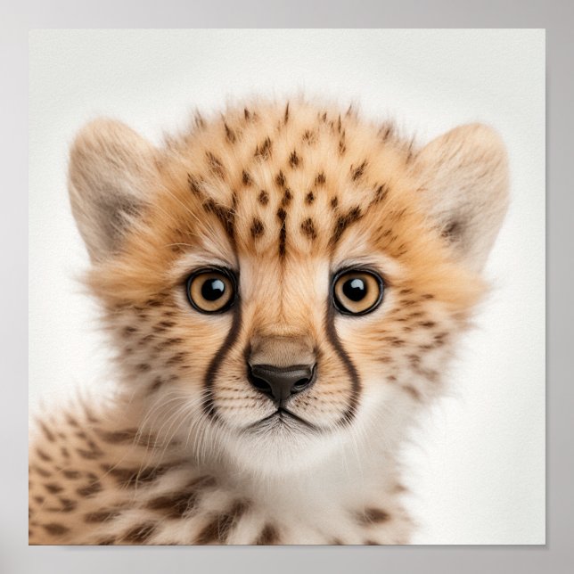Cute Baby Cheetah Portrait | Square 1:1 Poster (Front)