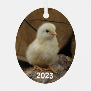 Cute Baby Chick Metal Tree Decoration