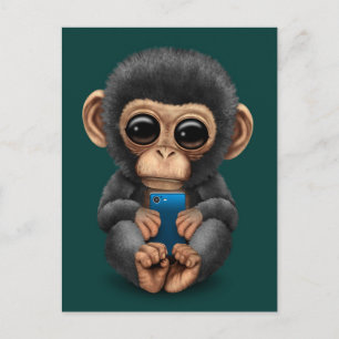 Cute Baby Chimpanzee Holding a Cell Phone Teal Postcard