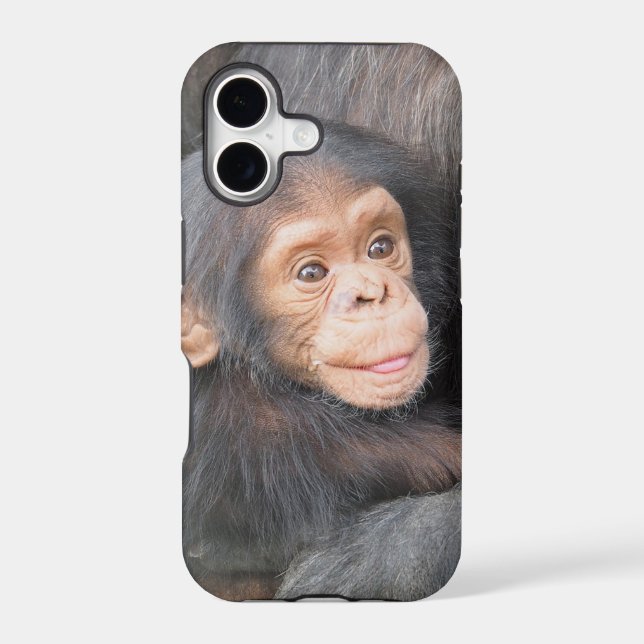 Cute Baby Chimpanzee Photo (Back)