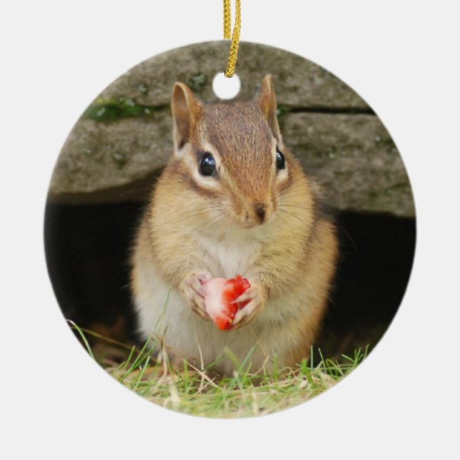 Cute Baby Chipmunk with Strawberry Ceramic Tree Decoration (Front)