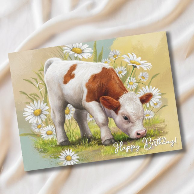 Cute Baby Cow in Daisy Field, Country Birthday Postcard (Creator Uploaded)