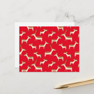 Cute Baby Deer and Family Postcard