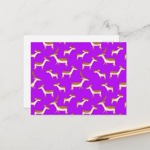 Cute Baby Deer and Family Postcard