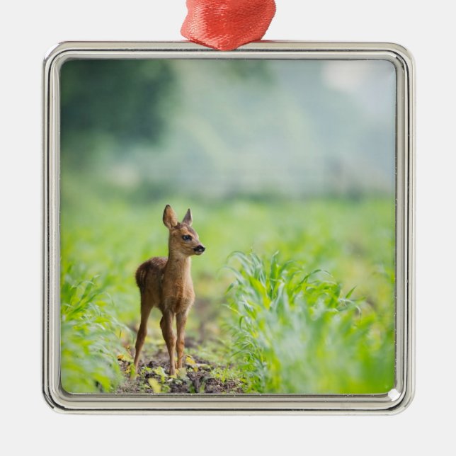 Cute Baby Deer Fawn in Grass Nature Photography Metal Ornament (Front)