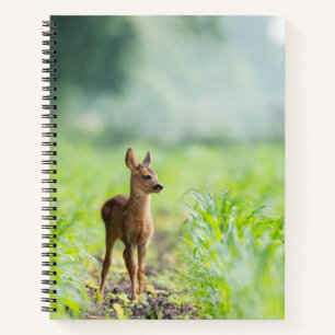 Cute Baby Deer Fawn in Grass Nature Photography Notebook