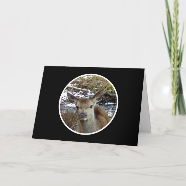 Cute Baby Deer Greetings Card Add Text (Front)