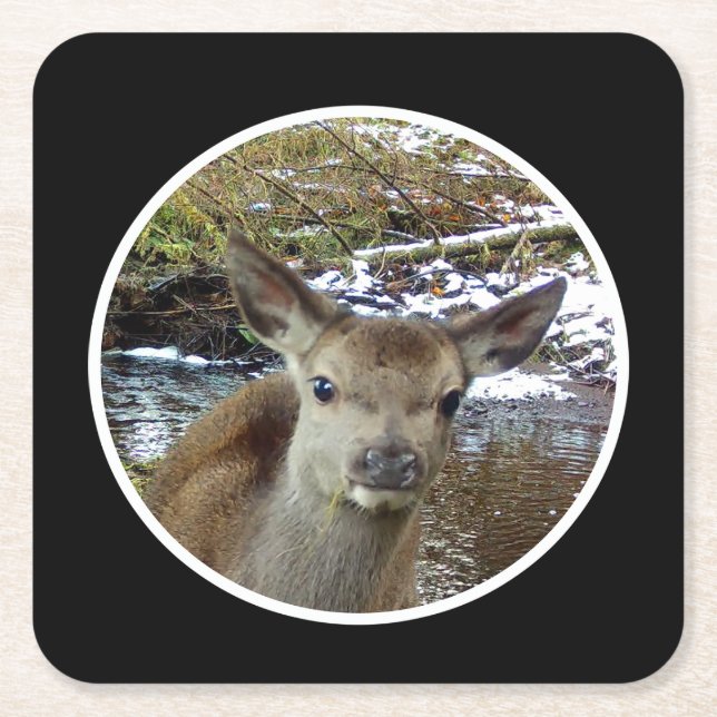 Cute Baby Deer Woodland Meadow Portrait Wildlife  Square Paper Coaster (Front)