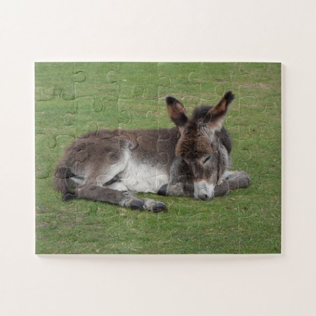 Cute Baby Donkey Foal Sleeping Jigsaw Puzzle (Horizontal)
