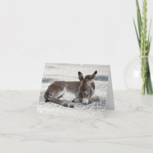 Cute Baby Donkey in the Snow Christmas Card