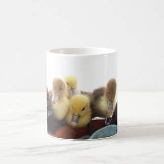 Cute Baby Ducks Coffee Mug