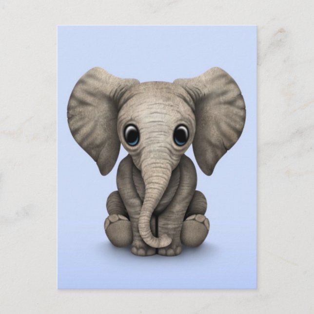 Cute Baby Elephant Calf Sitting Down, Light Blue Postcard (Front)