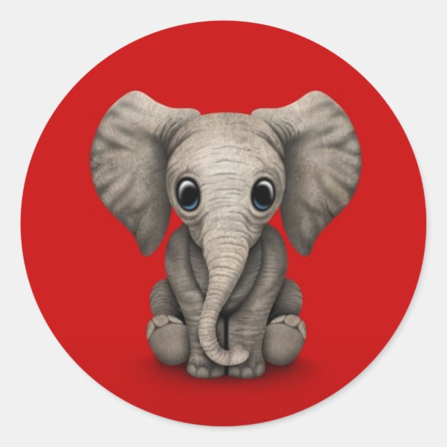 Cute Baby Elephant Calf Sitting Down, Red Classic Round Sticker (Front)