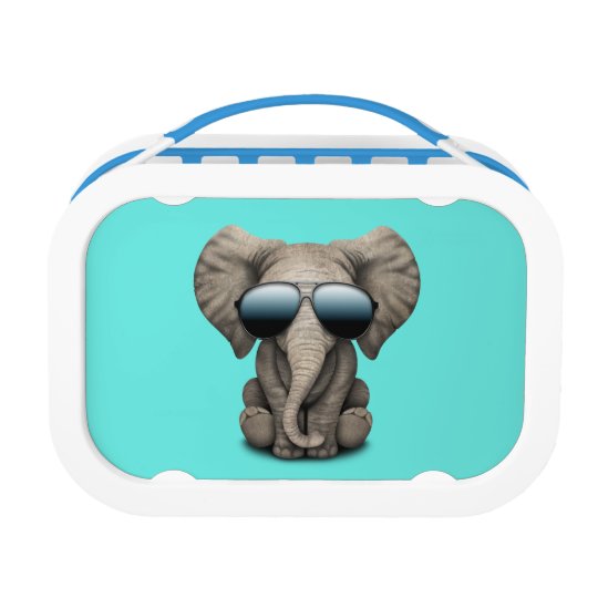 elephant lunch box