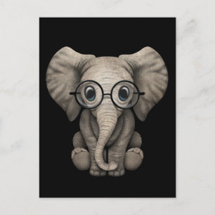 Cute Baby Elephant with Reading Glasses Black Postcard