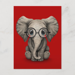 Cute Baby Elephant with Reading Glasses Red Postcard