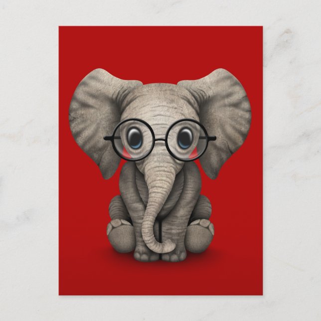 Cute Baby Elephant with Reading Glasses Red Postcard (Front)