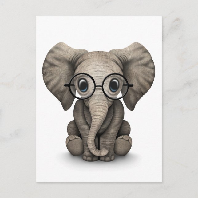 Cute Baby Elephant with Reading Glasses White Postcard (Front)