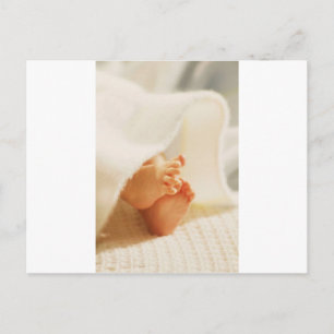 Cute Baby Feet Little Baby Feet Wrapped Blanket Postcard