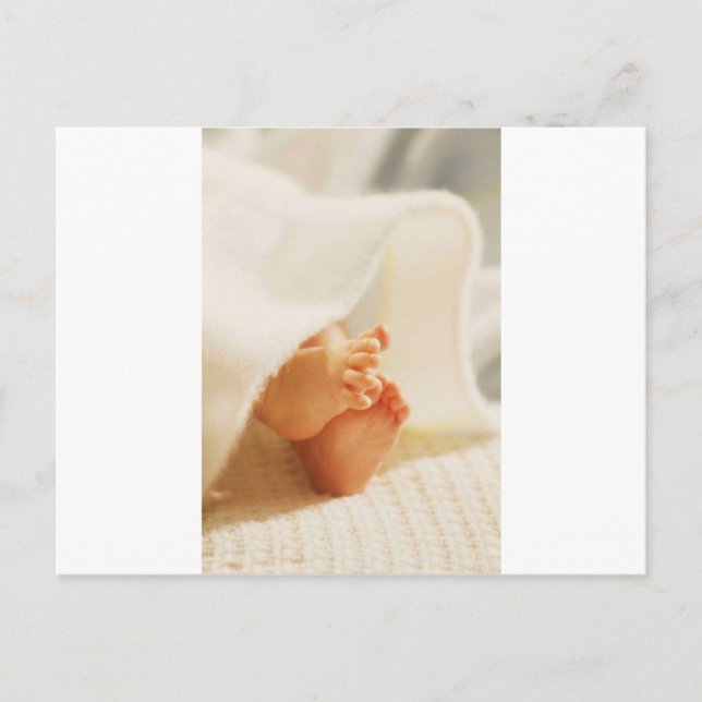 Cute Baby Feet Little Baby Feet Wrapped Blanket Postcard (Front)