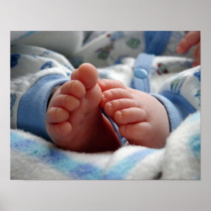 Cute Baby Feet Poster