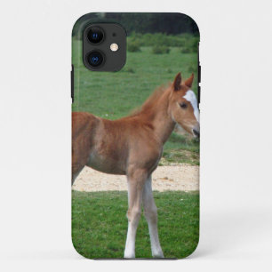 Cute Baby Foal Destiny Gifts Springtime Adorable iPhone 11 Case