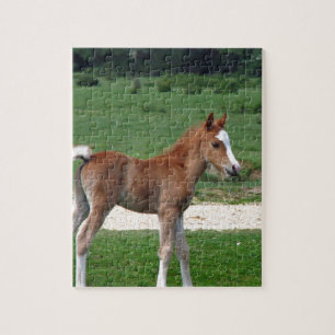 Cute Baby Foal Destiny Gifts Springtime Adorable Jigsaw Puzzle