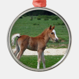 Cute Baby Foal Destiny Gifts Springtime Adorable Metal Ornament