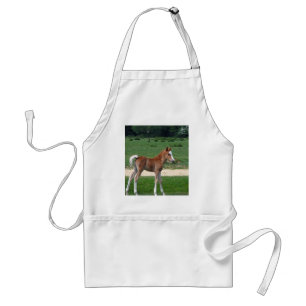 Cute Baby Foal Destiny Gifts Springtime Adorable Standard Apron