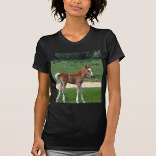 Cute Baby Foal Destiny Gifts Springtime Adorable T-Shirt