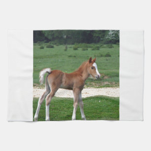Cute Baby Foal Destiny Gifts Springtime Adorable Tea Towel