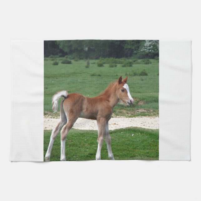 Cute Baby Foal Destiny Gifts Springtime Adorable Tea Towel (Horizontal)