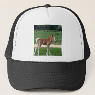 Cute Baby Foal Destiny Gifts Springtime Adorable Trucker Hat