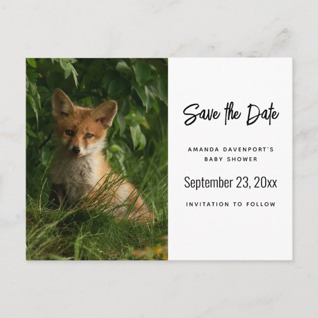 Cute Baby Fox in a Green Forest Announcement Postcard (Front)