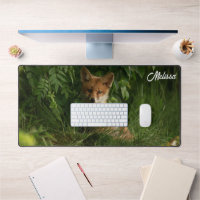 Cute Baby Fox in a Green Forest