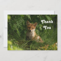 Cute Baby Fox in a Green Forest