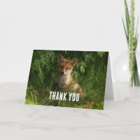 Cute Baby Fox in a Green Forest Thank You