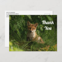 Cute Baby Fox in a Green Forest Thank You