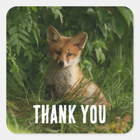 Cute Baby Fox in a Green Forest Thank You