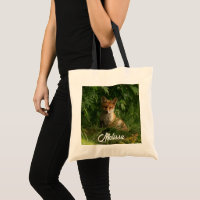 Cute Baby Fox in a Green Forest