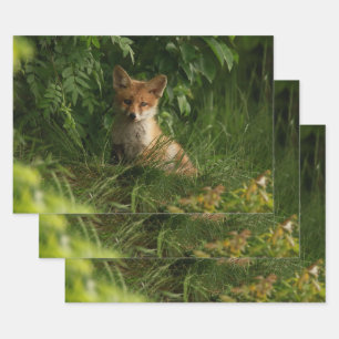 Cute Baby Fox in a Green Forest Wrapping Paper Sheet