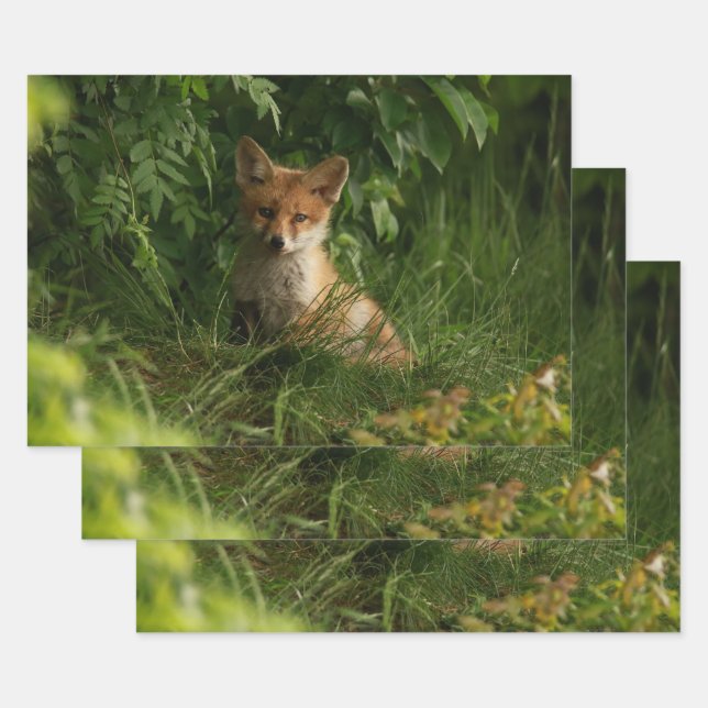 Cute Baby Fox in a Green Forest Wrapping Paper Sheet (Set)