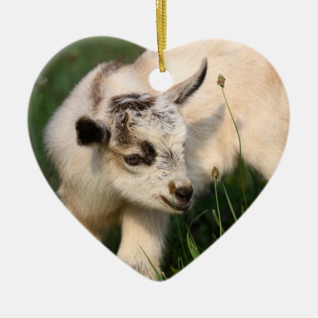 Cute Baby Goat Ceramic Ornament (Front)