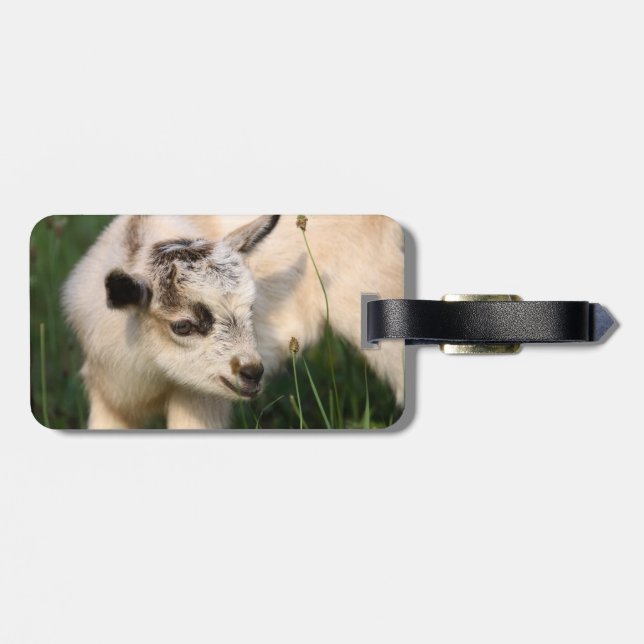 Cute Baby Goat Luggage Tag (Back Horizontal)