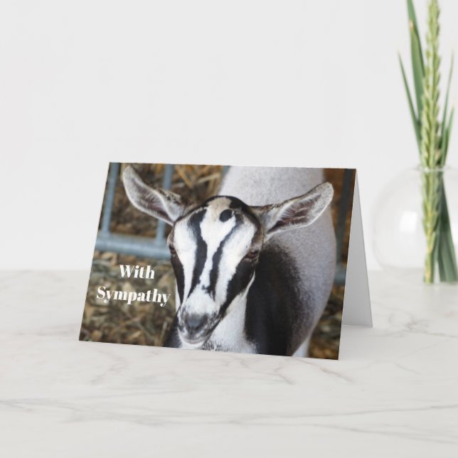 Cute Baby Goat Photo Sympathy Card (Front)
