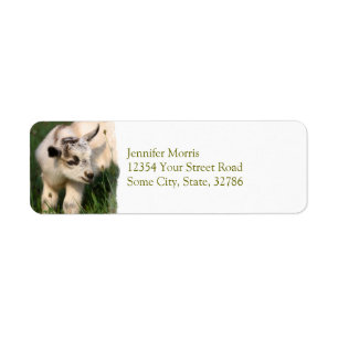 Cute Baby Goat Return Address Label