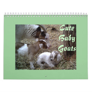 Cute Baby Goats Calendar