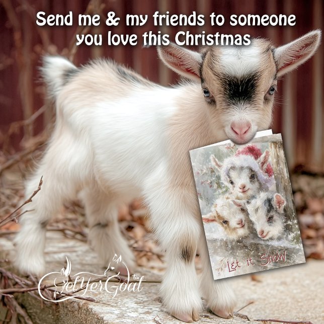 Cute Baby Goats - Snow Babies 7 Christmas Holiday Card (Creator Uploaded)