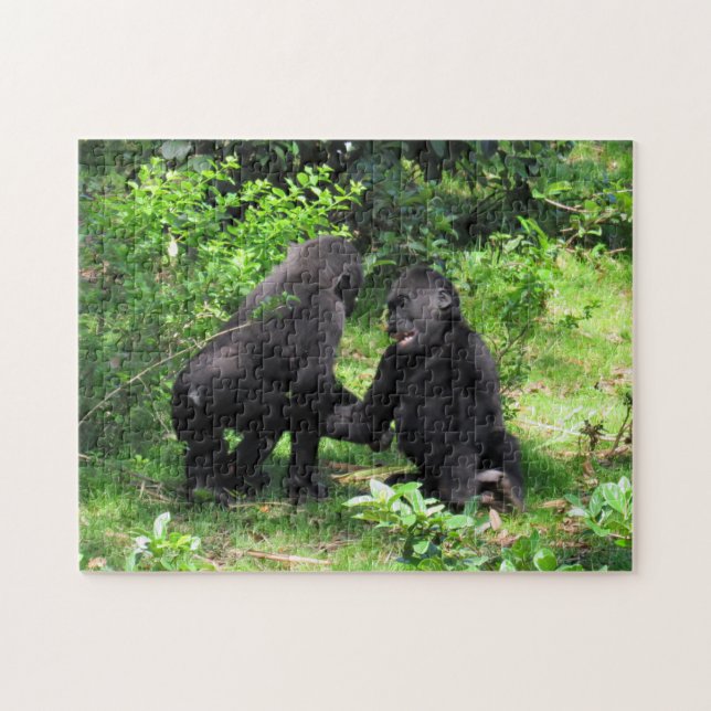 Cute Baby Gorillas Playing Puzzle (Horizontal)