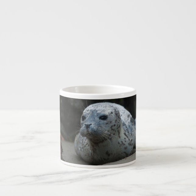 Cute Baby Harbour Seal looking up on  Beach Espresso Cup (Front)